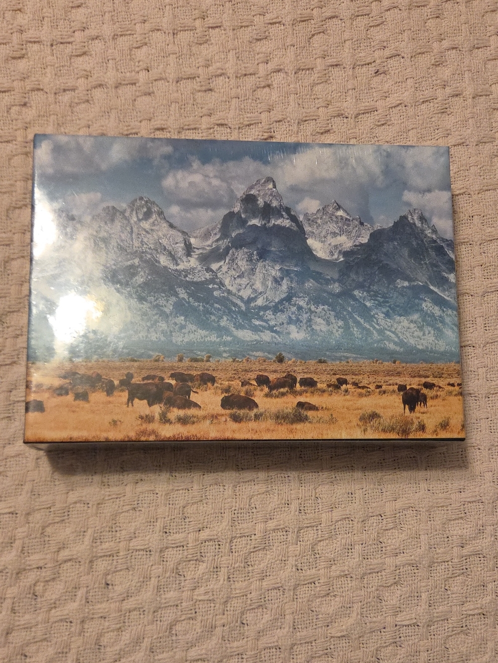 500 Piece Puzzle Scenic Mountain & Bison Jackson Wyoming- Blue and Brown